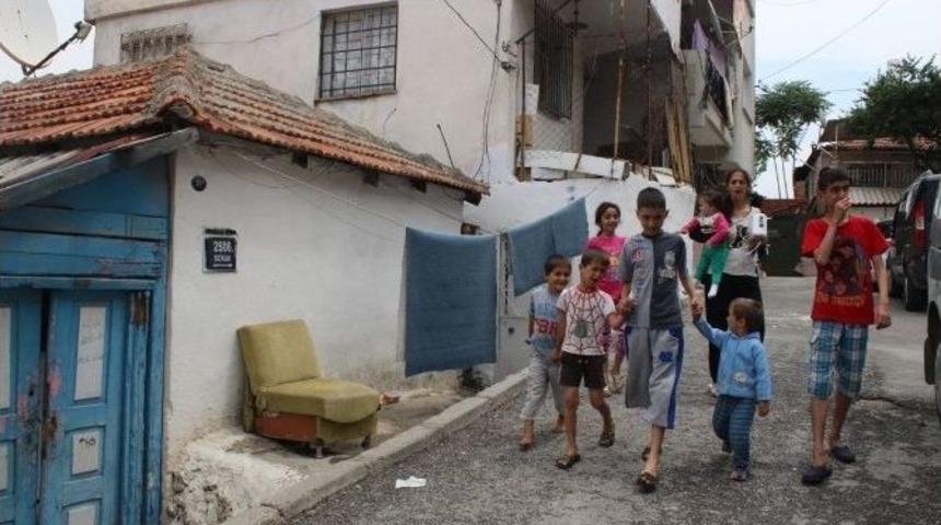 (&ouml;zel Haber) Dokuz Doğurmak Bu Olsa Gerek