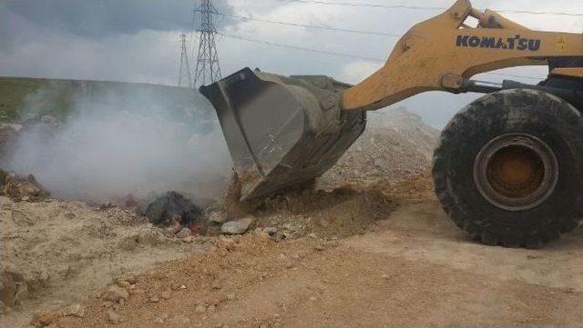 Zabıta Ekiplerinden Tavuk Eti İmhası