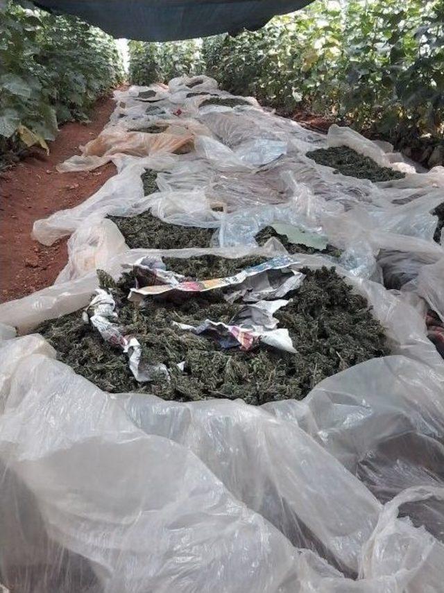 Antalya&rsquo;da Uyuşturucu Operasyonu 1