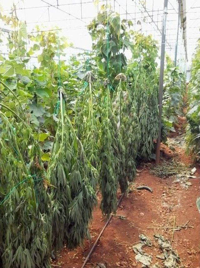 Antalya&rsquo;da Uyuşturucu Operasyonu 2