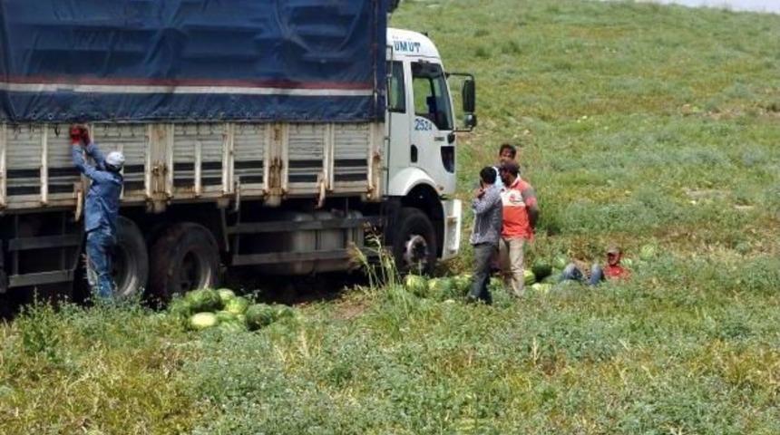 Karpuz Tarlada 35 Kuruşa D&uuml;şt&uuml;