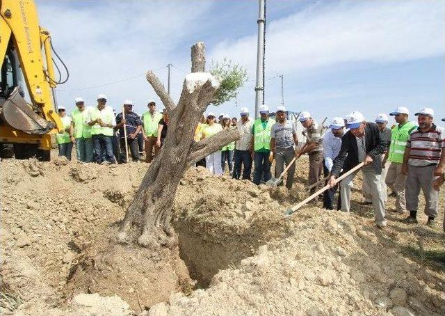 Gaziemir’de Örnek Çevre Atağı