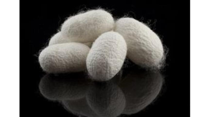 Ameliyatsız Y&uuml;z Germede Yeni D&ouml;nem: İpek Koza Tekniği