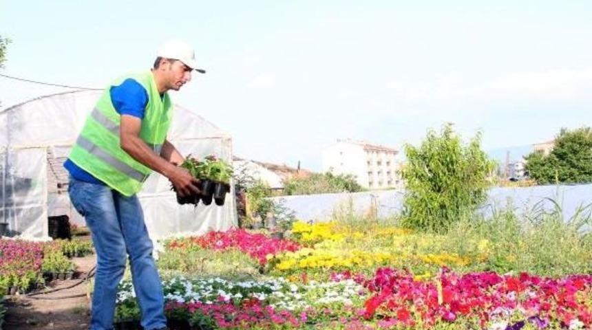 Tekmelenen Madenci, Bergama Belediyesi'nde Işe Başladı