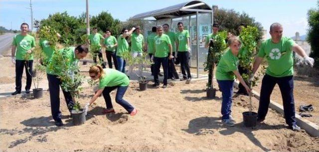 Bodrum'da Fidan Dikimi Ve Çevre Temizliği