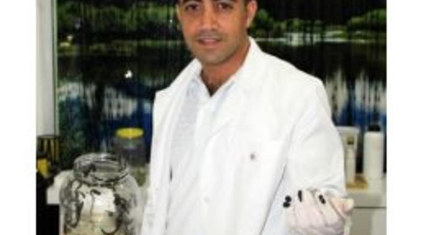 S&uuml;l&uuml;k Tedavisine Dikkat