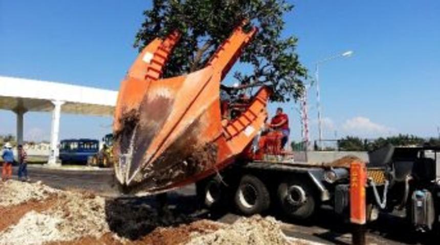 Tulumba K&ouml;pr&uuml;s&uuml; Civarındaki Ağa&ccedil;lar Koruma Altına Alındı