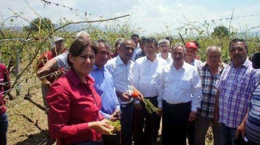Chp'li Milletvekili Ve Adayları Doludan Zarar G&ouml;ren &Ccedil;ift&ccedil;iyi Dinledi