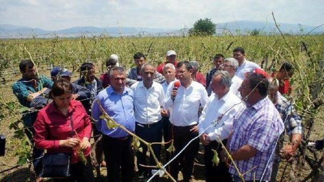 Chp li Milletvekili Ve Adayları Doludan Zarar G&ouml;ren &Ccedil;ift&ccedil;iyi Dinledi 2