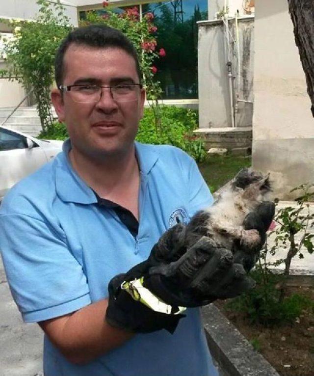 İtfaiyeden Yavru Kedi Operasyonu 1
