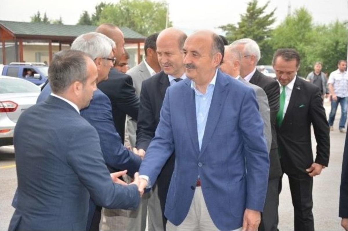 Sağlık Bakanının At Yarışı Heyecanı