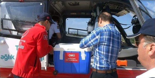 Helikopterle Nakil İ&ccedil;in Organ Yetiştirdiler 2