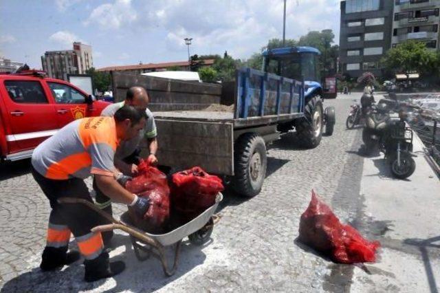 Dalgıçlardan Çanakkale Boğazı'nda Deniz Dibi Temizliği