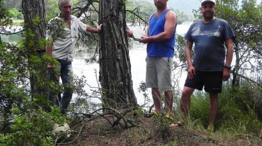 &Uuml;nl&uuml; Denizci Sadun Boro Yaşamını Yitirdi (3)