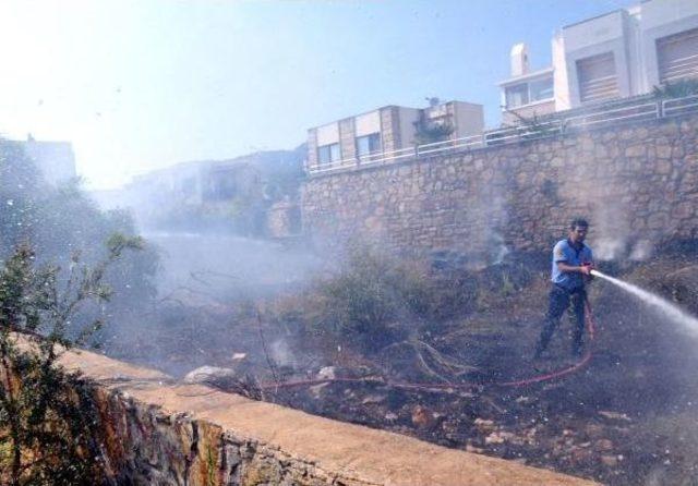 Bodrum'un Iki Ayrı Noktasındaki Otluk Alanda Çıkan Yangın Korkuttu