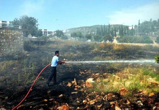 Bodrum'un Iki Ayrı Noktasındaki Otluk Alanda Çıkan Yangın Korkuttu