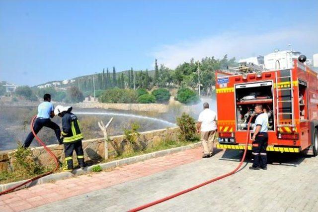 Bodrum'un Iki Ayrı Noktasındaki Otluk Alanda Çıkan Yangın Korkuttu