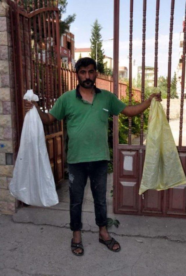 Evin Bah&ccedil;esindeki Ağa&ccedil;ta Oğul Veren Arılar Korkuttu 3