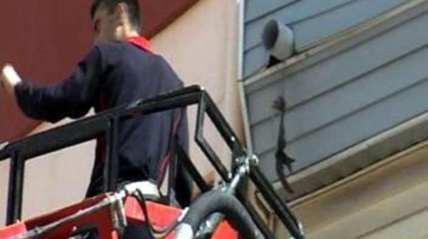 İtfaiyeden Kuş Kurtarma Operasyonu