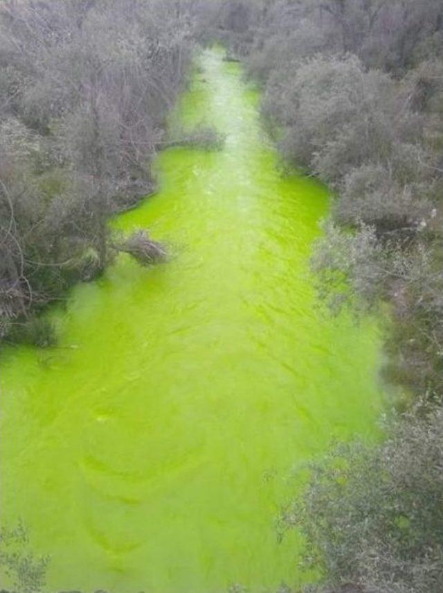 Emet &Ccedil;ayı Yeşil Akıyor 1