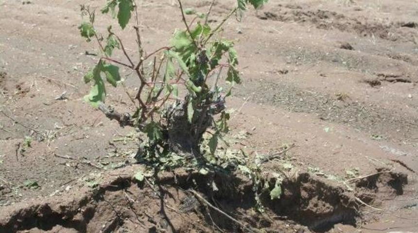 Sel Ve Dolu, Nevşehir&rsquo;De &Ccedil;ift&ccedil;iyi Vurdu