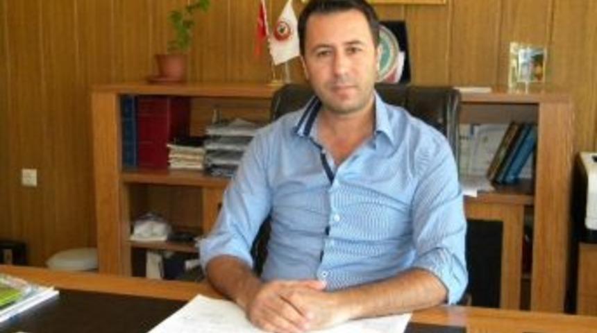 Fatsa&rsquo;da Ağa&ccedil;landırma &Ccedil;alışmaları