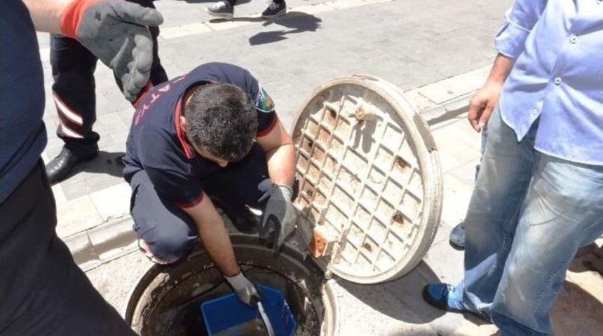İtfaiyeden Yavru Kedi Kurtarma Operasyonu
