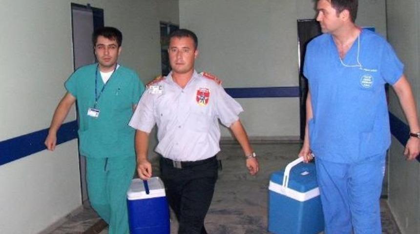 S&ouml;keli Servis Şof&ouml;r&uuml;n&uuml;n Organları Umut Oldu