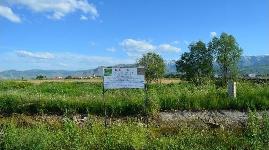 Muş&rsquo;ta Telli Turna Ve Toyların Korunması İ&ccedil;in Uyarı Levhaları Konuluyor