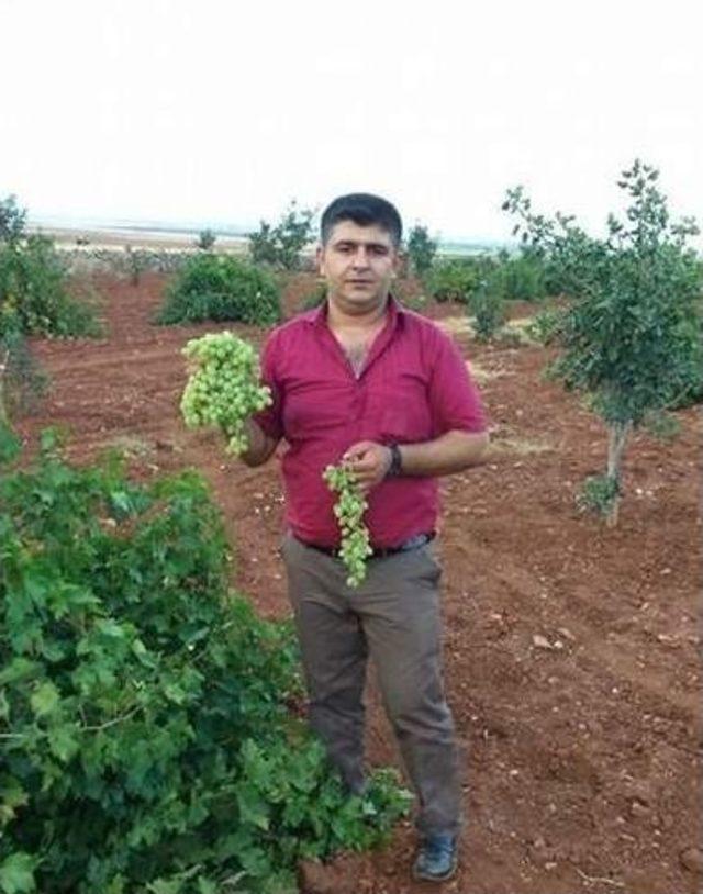 Bir Oğlunu Evlendirdi Diğerini Öldürdü