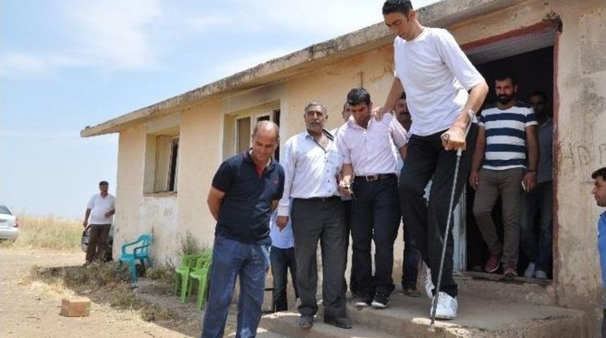 Dünyanın En Uzun Adamı Sultan Kösen Oyunu Kullandı