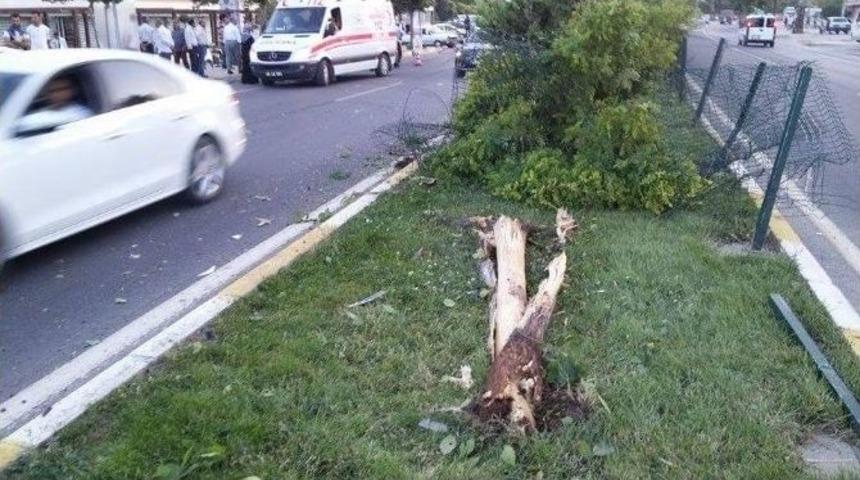 Otomobil Ağaca Çarptı