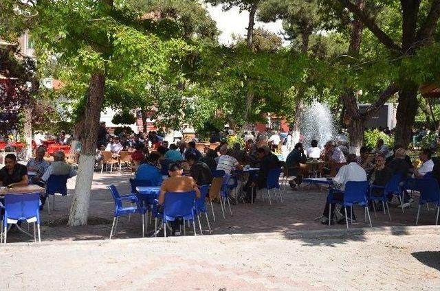 Bilecik’te Kahvelerin Kapalı Olması Çay Bahçelerine Yaradı