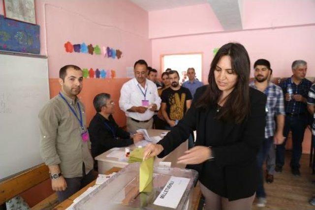 Van, Hakkari Ve Bitlis'te Seçime Yoğun Ilgi (4)