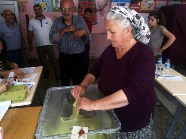 Güneydoğu Anadolu'da Seçime Katılım Yüksek (3)