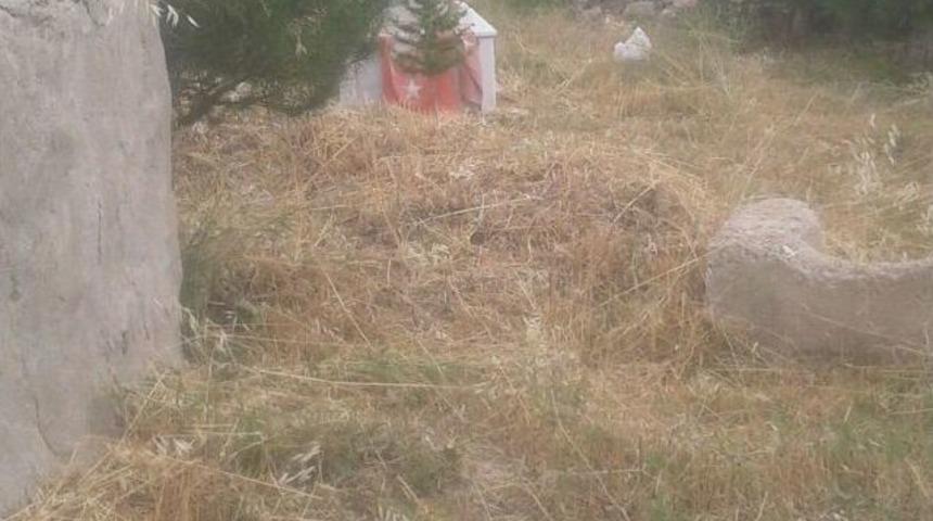 Mezarlıktaki Otlar Temizlendi