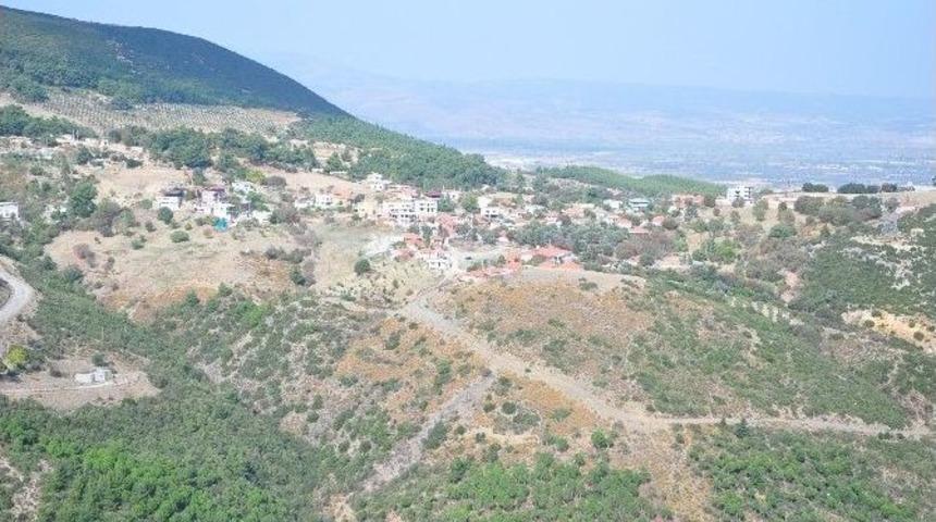 Manisa&rsquo;da 2 Bin 435 Adet 2/b Arazisi Satıldı