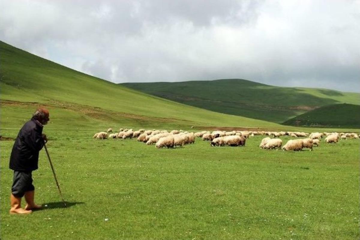 Perşembe Yaylası&rsquo;ndan Doyumsuz Manzaralar