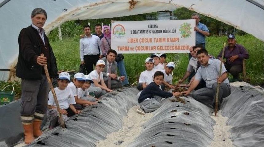 K&uuml;tahya&rsquo;da Lider &Ccedil;ocuk Tarım Kampı Sona Erdi