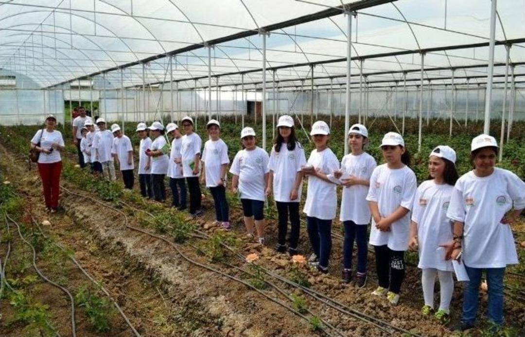 Samsun&rsquo;da Lider &Ccedil;ocuk Tarım Kampı Sona Erdi