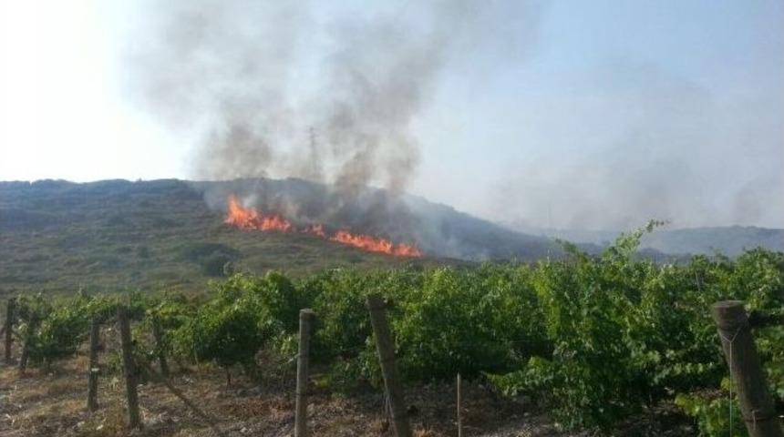 &Ccedil;eşme&rsquo;de Makilik Alanda Yangın