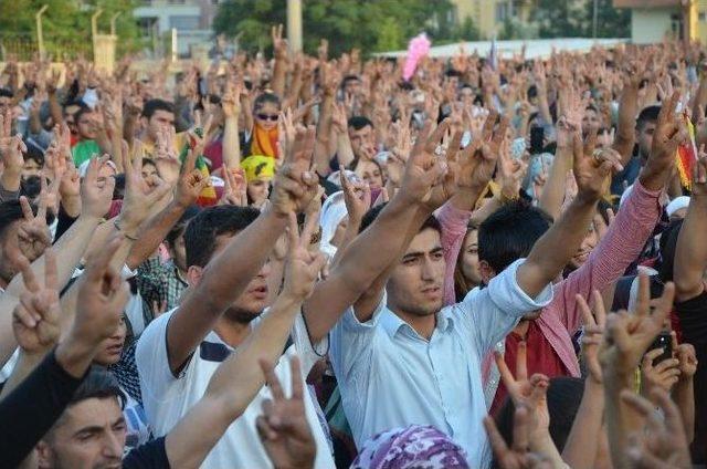 Hdp’nin Barajı Geçmesi Silvan’da Kutlandı