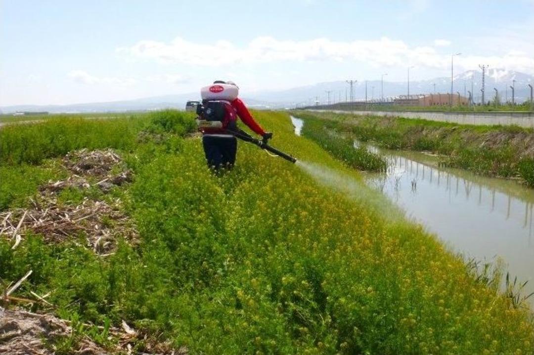 B&uuml;y&uuml;kşehir Belediyesi İla&ccedil;lama &Ccedil;alışmalarına Hız Verdi