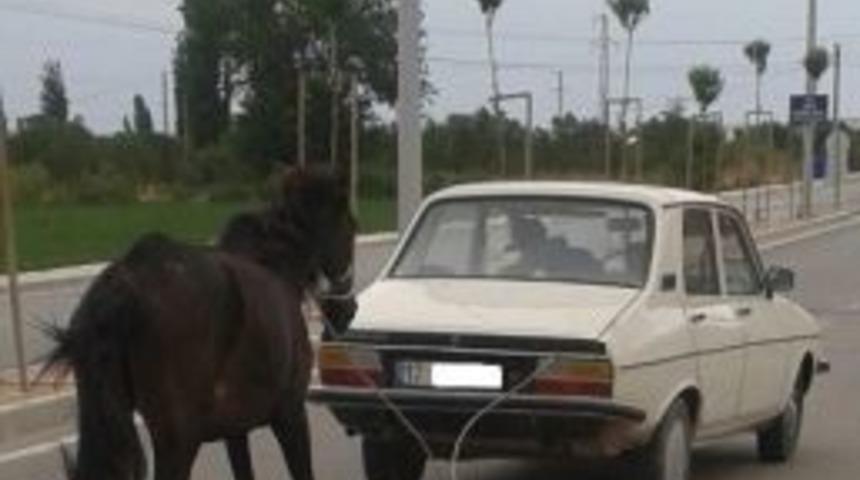 Karayolunda İlgin&ccedil; G&ouml;r&uuml;nt&uuml;