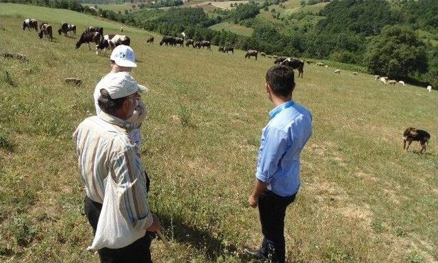 İzmit Belediyesi Köyleri Mercek Altına Aldı