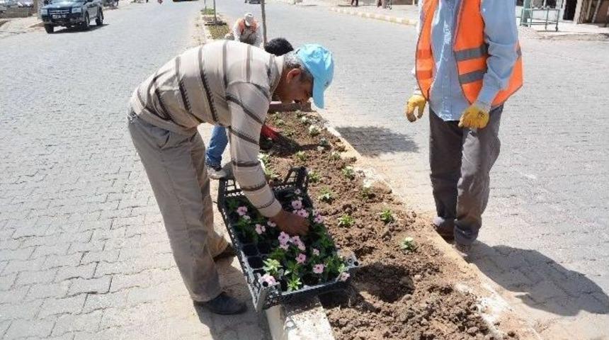 Ceylanpınar Belediyesi Ref&uuml;j &Ccedil;alışması