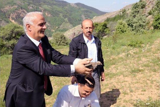 Kürtün’de Keklikler Doğayla Buluştu 3