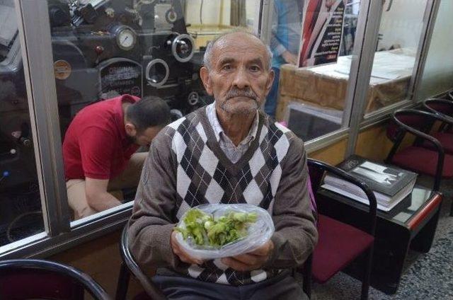 Fındık &lsquo;k&uuml;llenme&rsquo; Hastalığı Tehdidi Altında 1