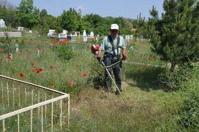 B&uuml;nyan Belediyesi B&uuml;t&uuml;n Park Ve Mezarlıkları Temizledi 1