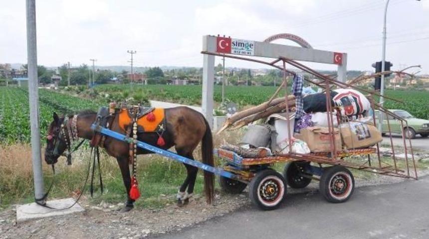 Osmaniye'de Bı&ccedil;aklı, Silahlı Kavgta: 1 &Ouml;l&uuml;, 3 Yaralı